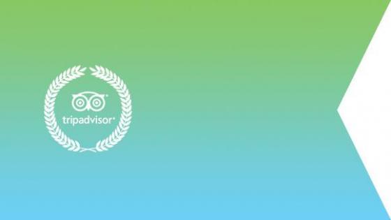 Trip Advisor Certificate of Excellence