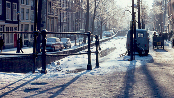 The Wallen district: Amsterdam's walhalla
