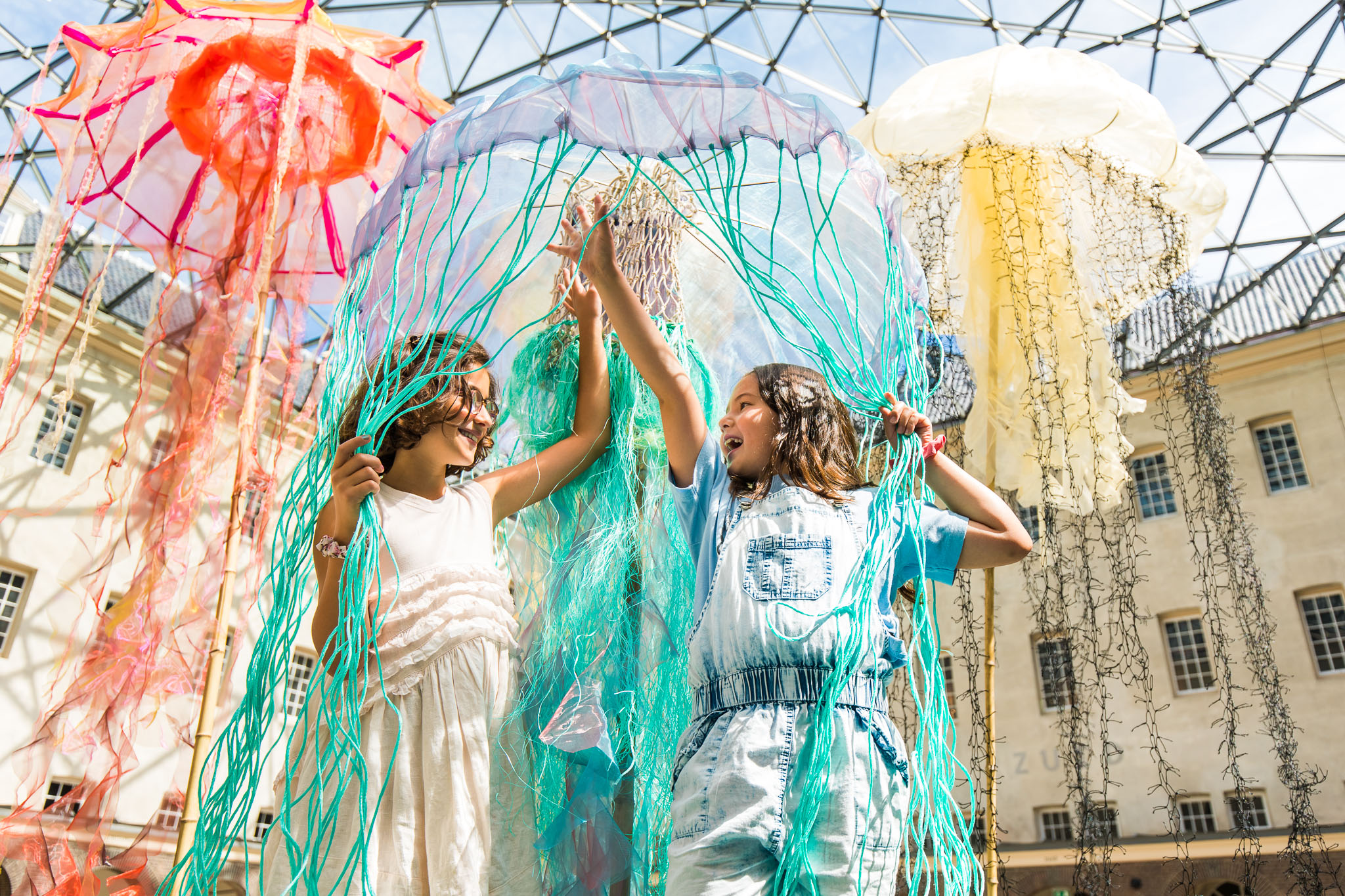 Jellyfish in the sea of the weird and wonderful (all ages)