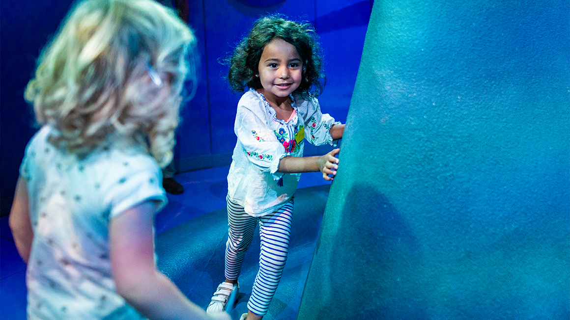 exhibition: the tale of the whale