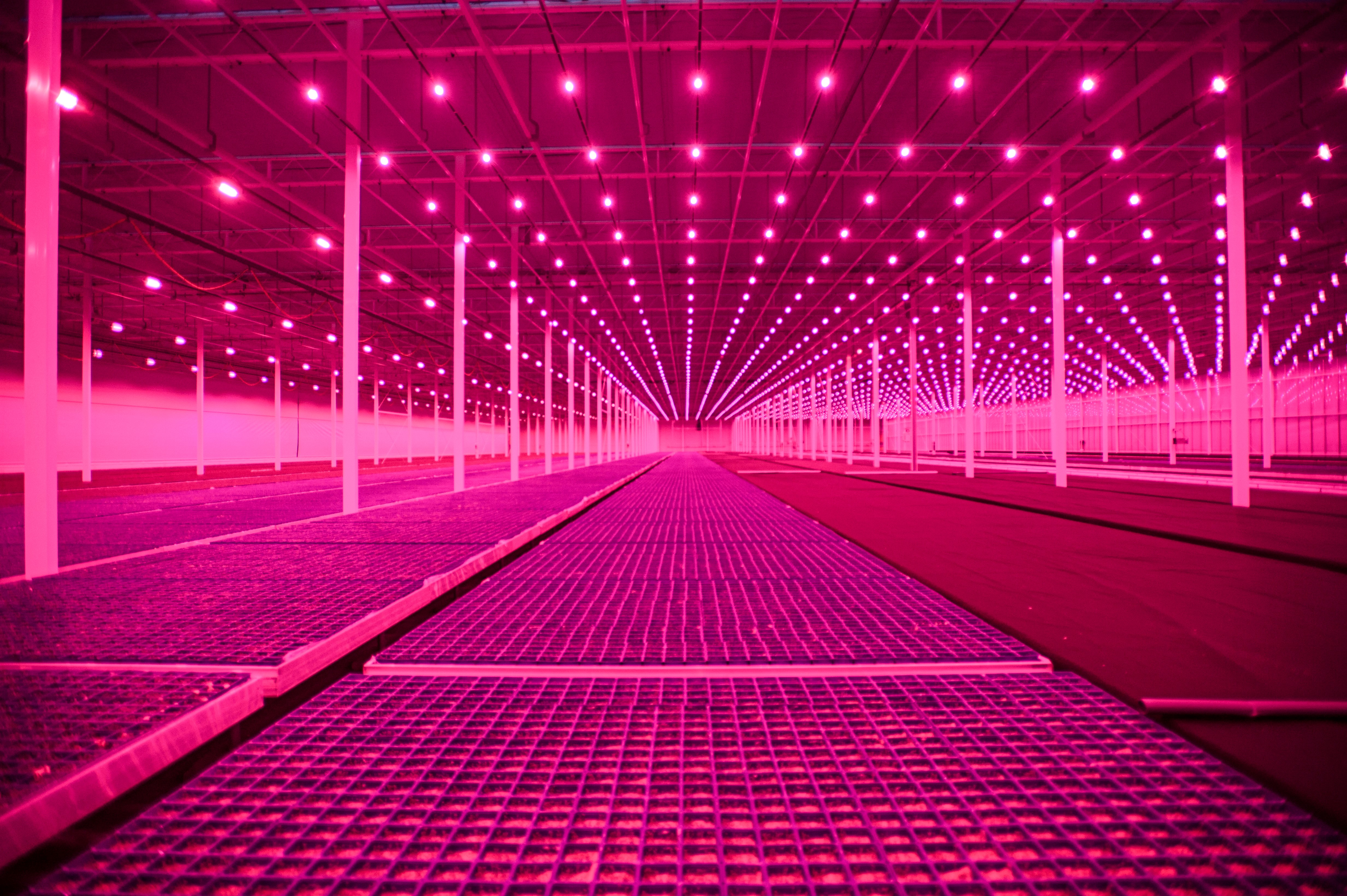Food for Thought, 2022 Kadir van Lohuizen