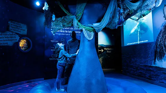 The tale of the whale (6+)
