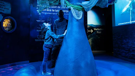 The story of the whale