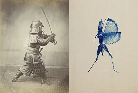 Portrait photograph of Japanese warrior Shigeaki Kubota, 1864 Felice Beato