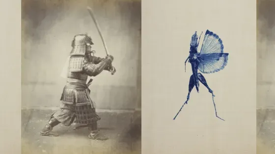 Ekō - Japan in two visual narratives
