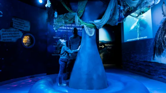 The Story of the Whale (6+) 