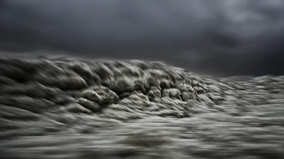 Stephan Vanfleteren - Transcripts of a Sea
